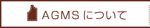 ＜アパレルCAD＞ＡＧＭＳ株式会社について